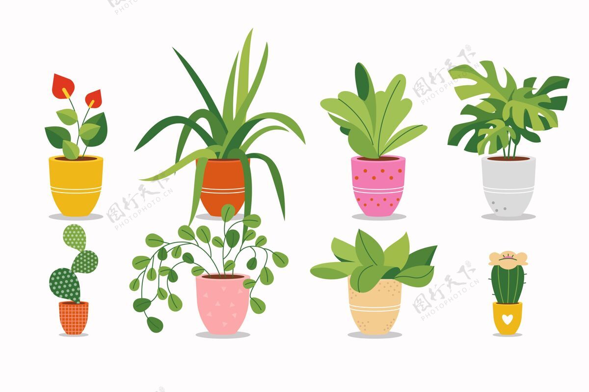 植物有机平面室内植物系列分类绿化平面设计