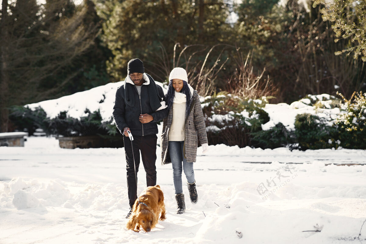 寒冷人们在外面散步冬天非洲夫妇带着狗感情帽子白天