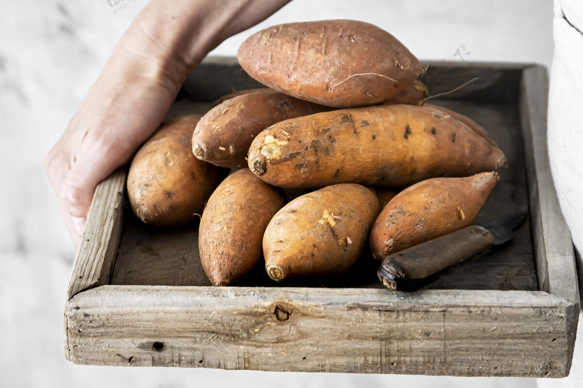 营养木箱红薯持有收获农产品