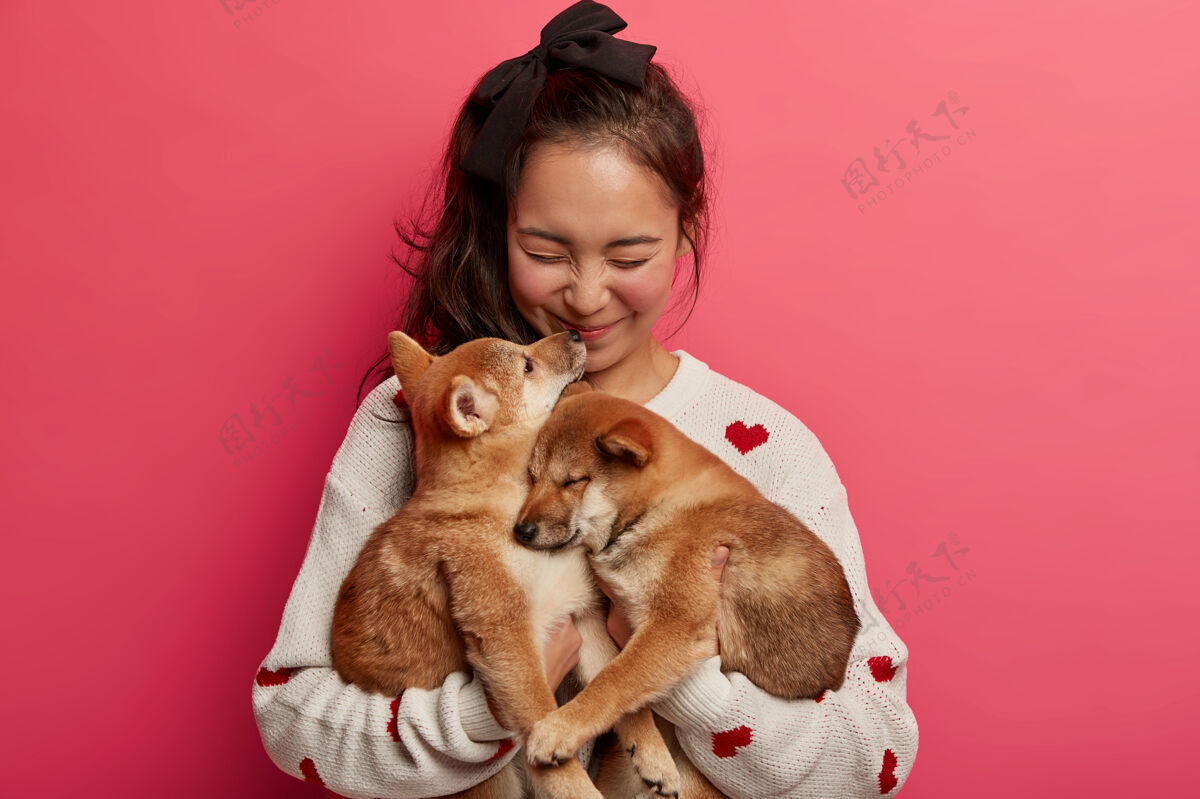 朋友真诚快乐的女人与两只小狗玩耍 得到石坝犬的亲吻 向动物表达爱意姿势主人喜悦