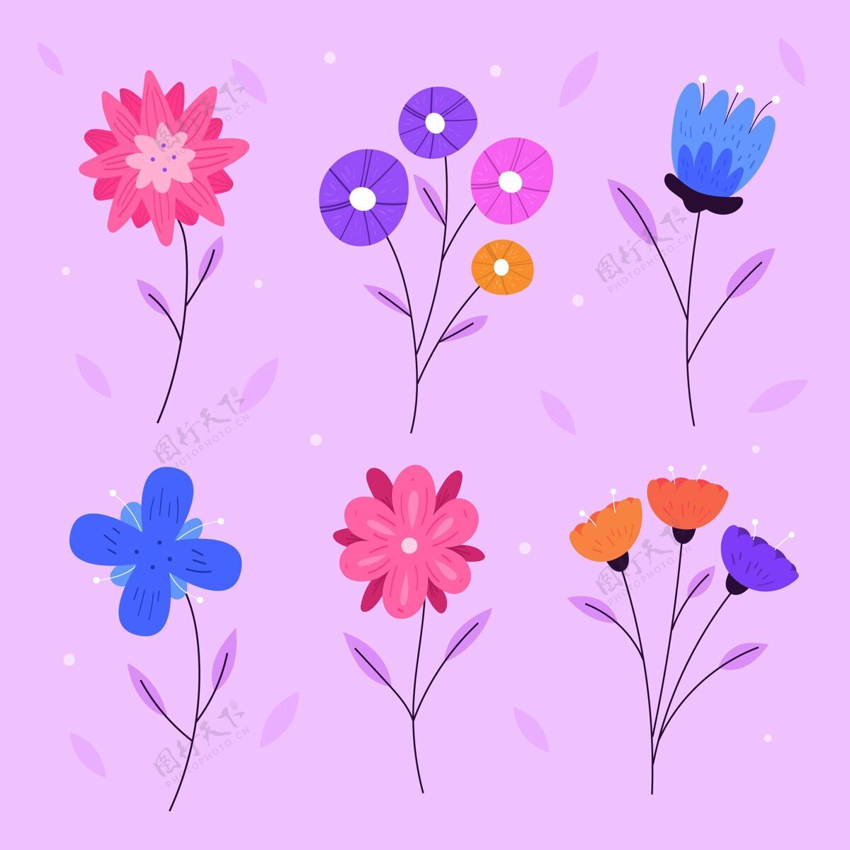 花卉有机平面设计花卉系列有机花卉有机平面设计