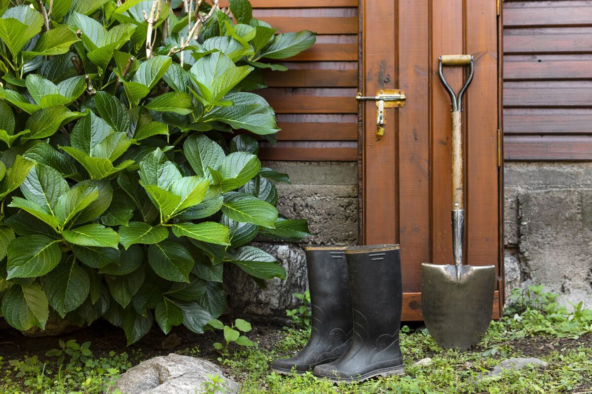 铲子房子旁边的园丁工具园艺花园园艺工具