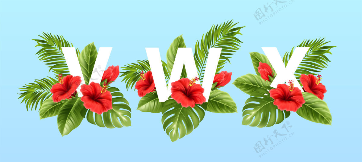 芙蓉被夏天的热带树叶和红色的芙蓉花包围的字母夏威夷排版热带夏季