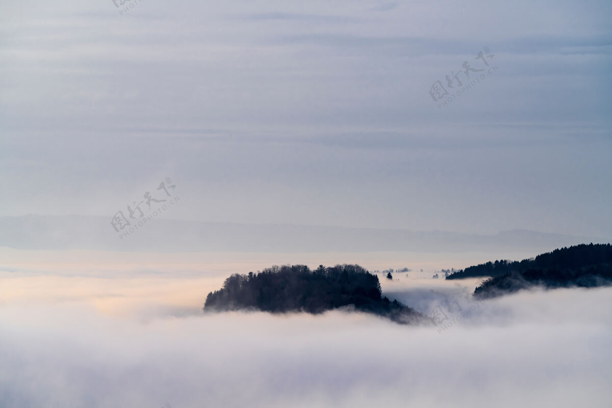 雾云雾树岛山