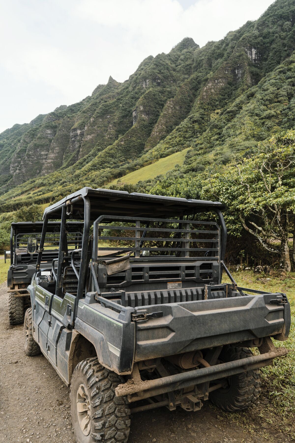 夏威夷夏威夷的吉普车旅游姿势汽车吉普车