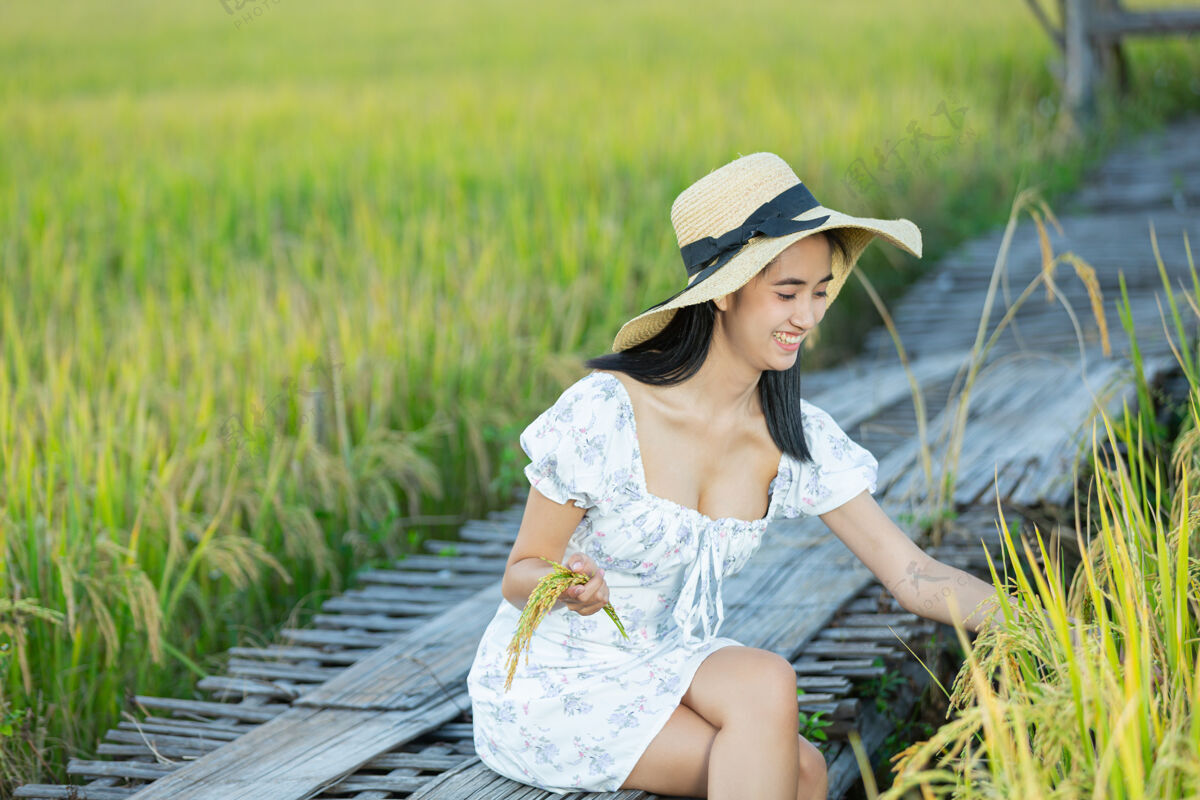 草美丽的亚洲女人在稻田里尽情享受自然自由女孩