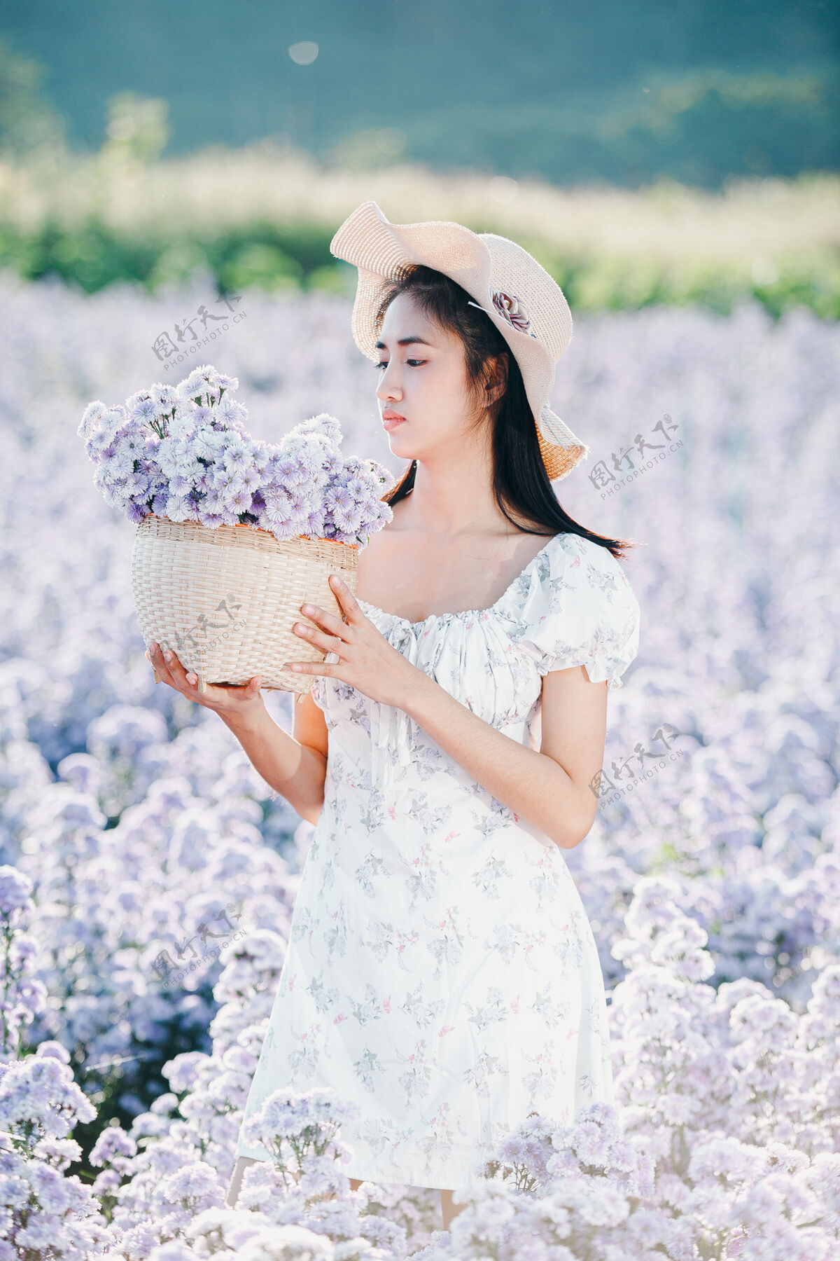 法国美丽的女人在花坛上尽情享受花自由风景