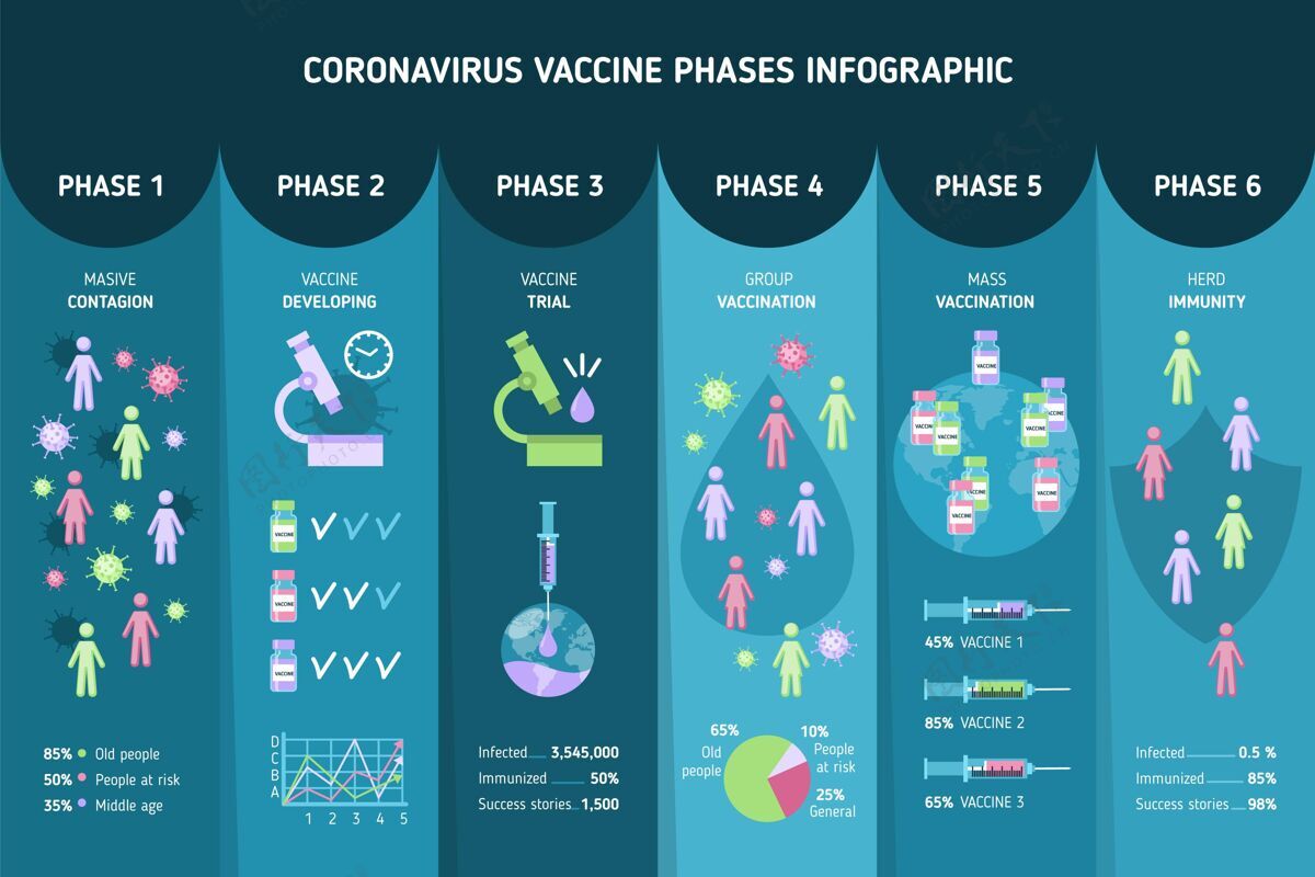疫苗扁平冠状病毒疫苗阶段信息图冠状病毒插图预防