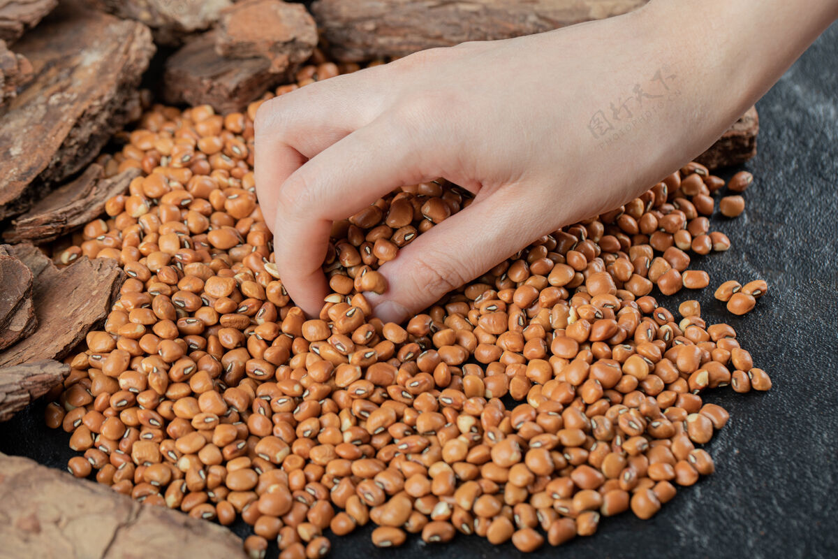 食物女人的手拿着一束红豆种子堆雌性