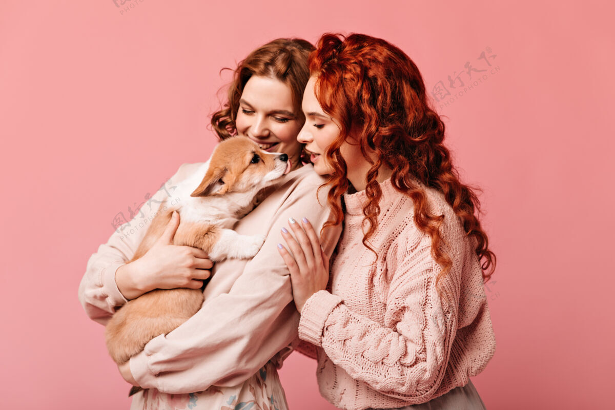 成人笑女孩看小狗摄影棚拍摄可爱的女士与狗在粉红色的背景摆姿势孤立的粉红色年轻人友谊