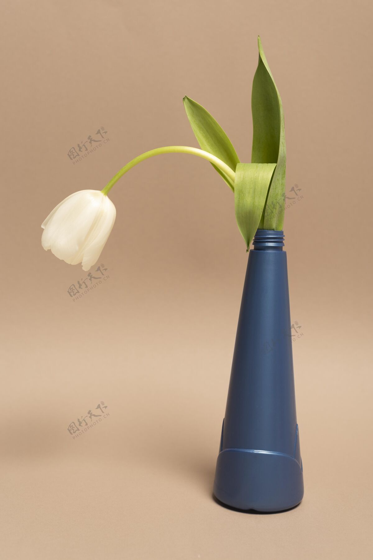 回收可重复使用的带花的塑料瓶塑料瓶环保花卉