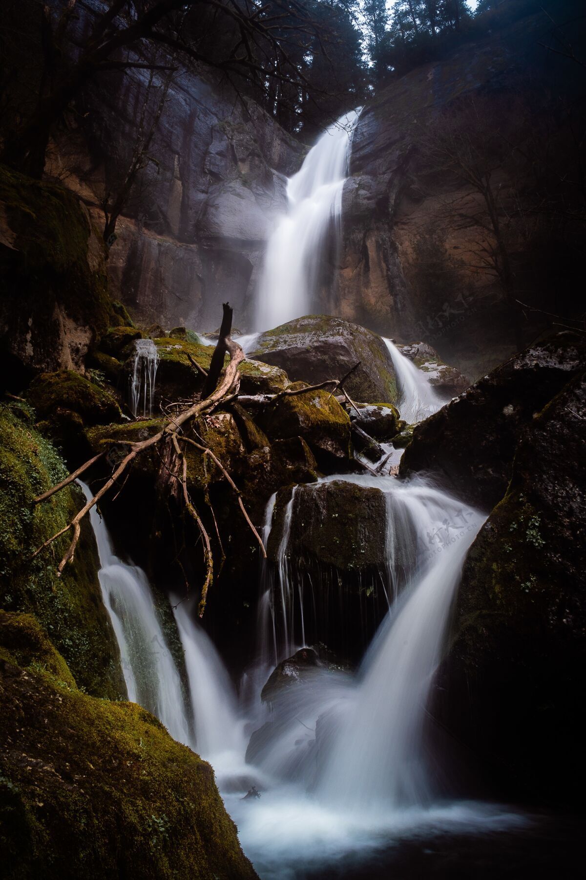 石头下雨天俄勒冈州著名美丽的金色瀑布的垂直镜头苔藓树国家