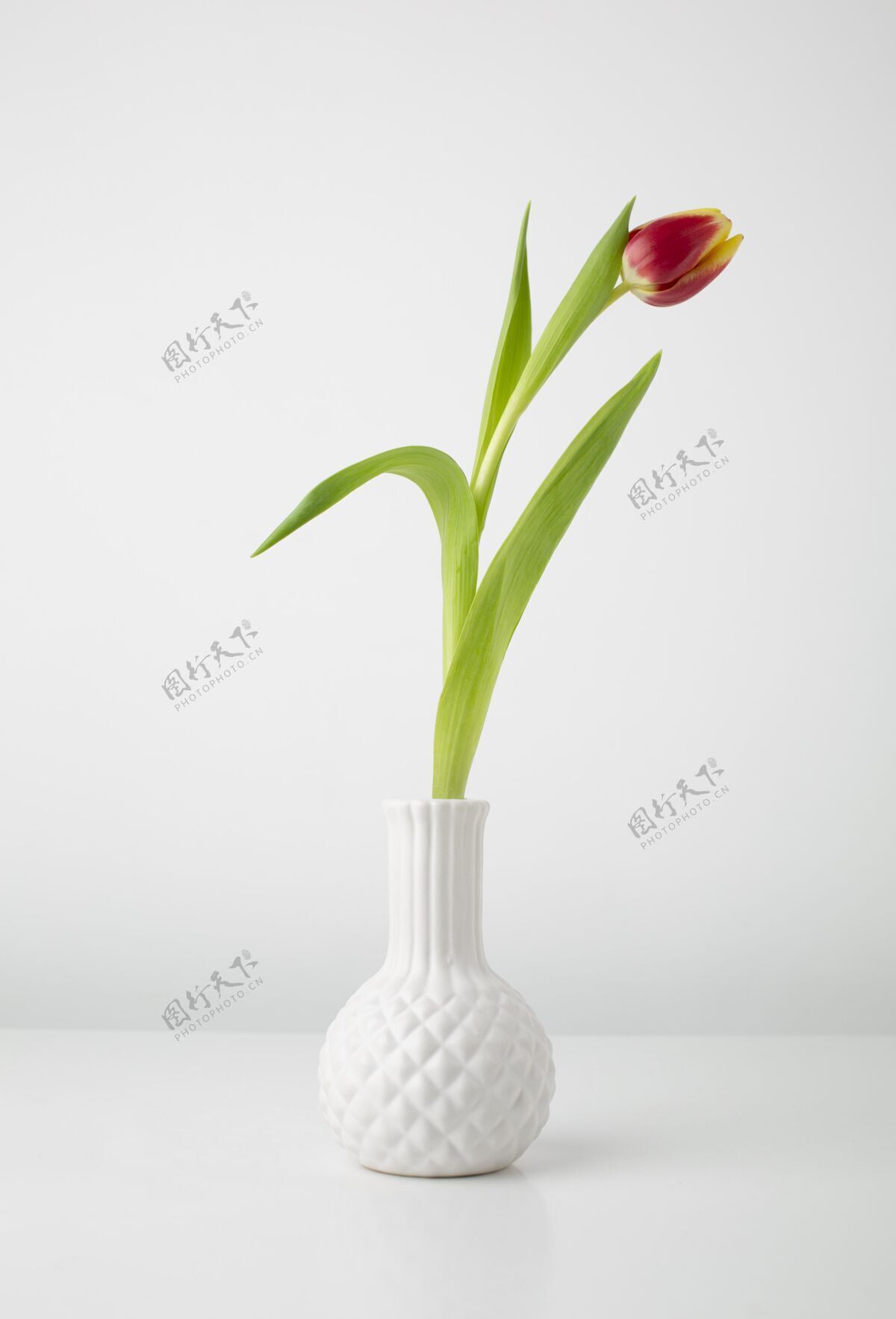 春天桌上放着郁金香花瓶春天的时间春天的花花瓶
