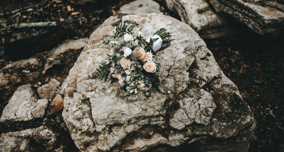 植物岩石上玫瑰花束的特写镜头花束花花