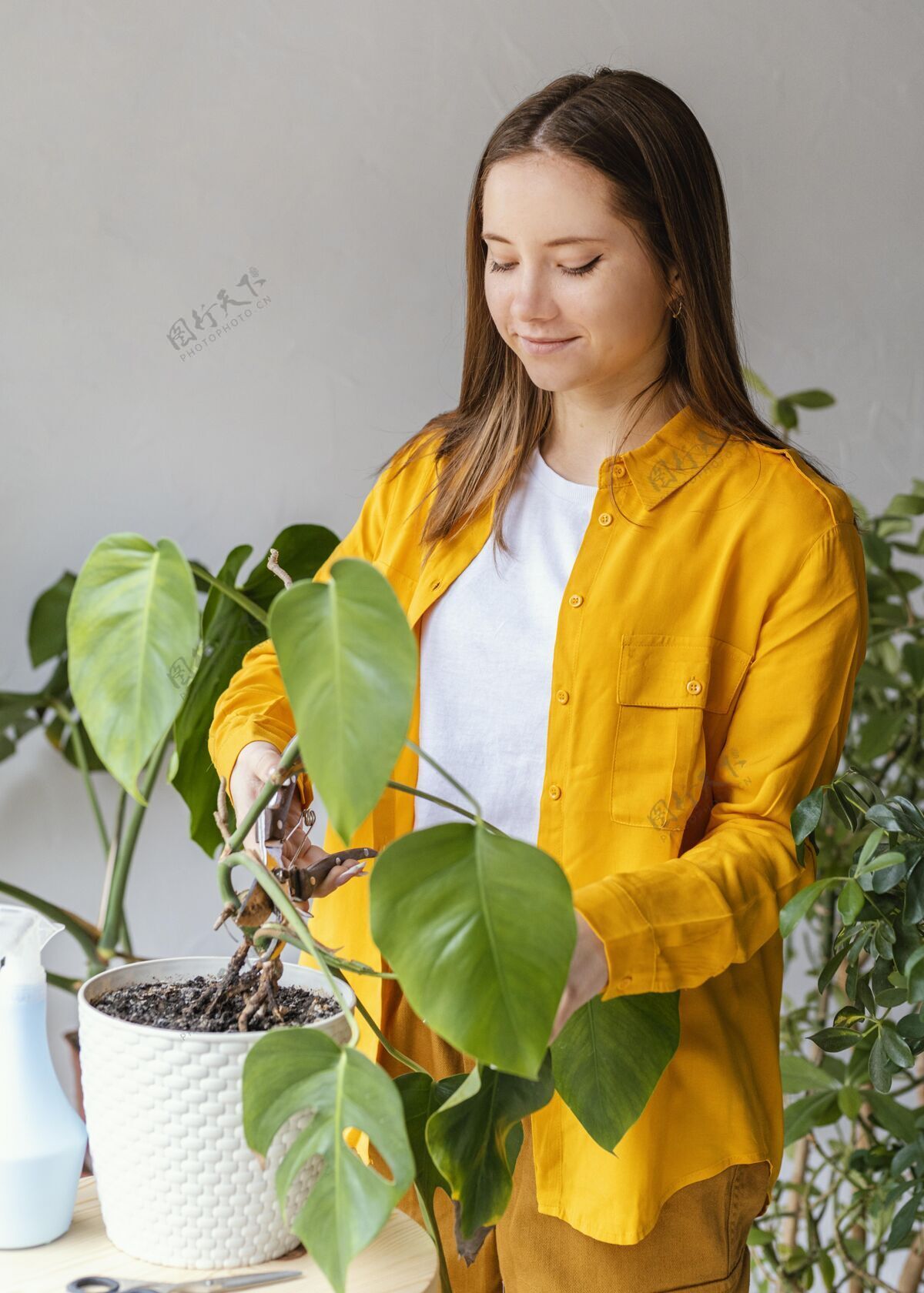 室内照顾绿色植物的年轻女子栽培室内植物植物学