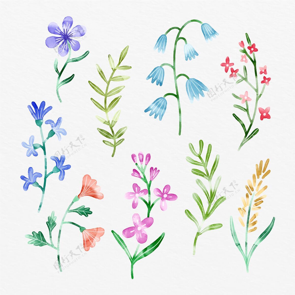 植物手绘春花系列季节事件开花