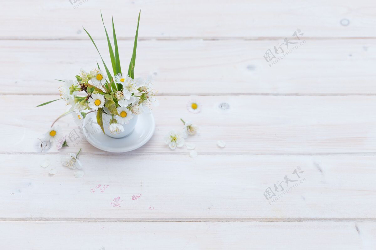 树叶高角度拍摄美丽的雏菊放在一个白色的杯子桌子惊人盘子