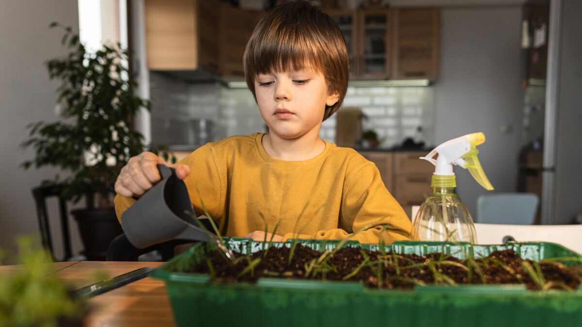 植物小男孩在家里浇灌庄稼的正面图有机孩子种植
