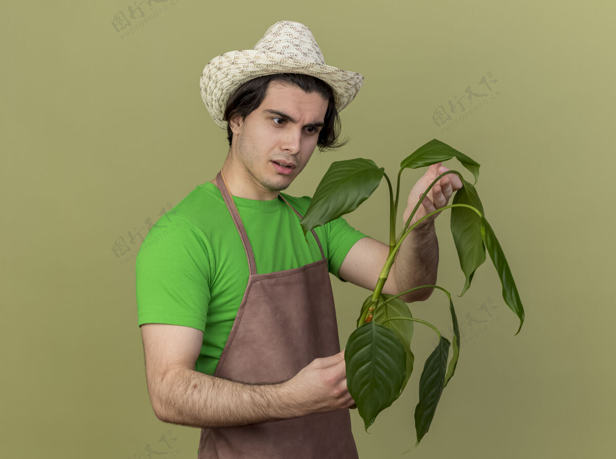 立场站在明亮的背景下 一个年轻的园丁站在围裙上 拿着帽子 看着植物 很感兴趣举行年轻围裙