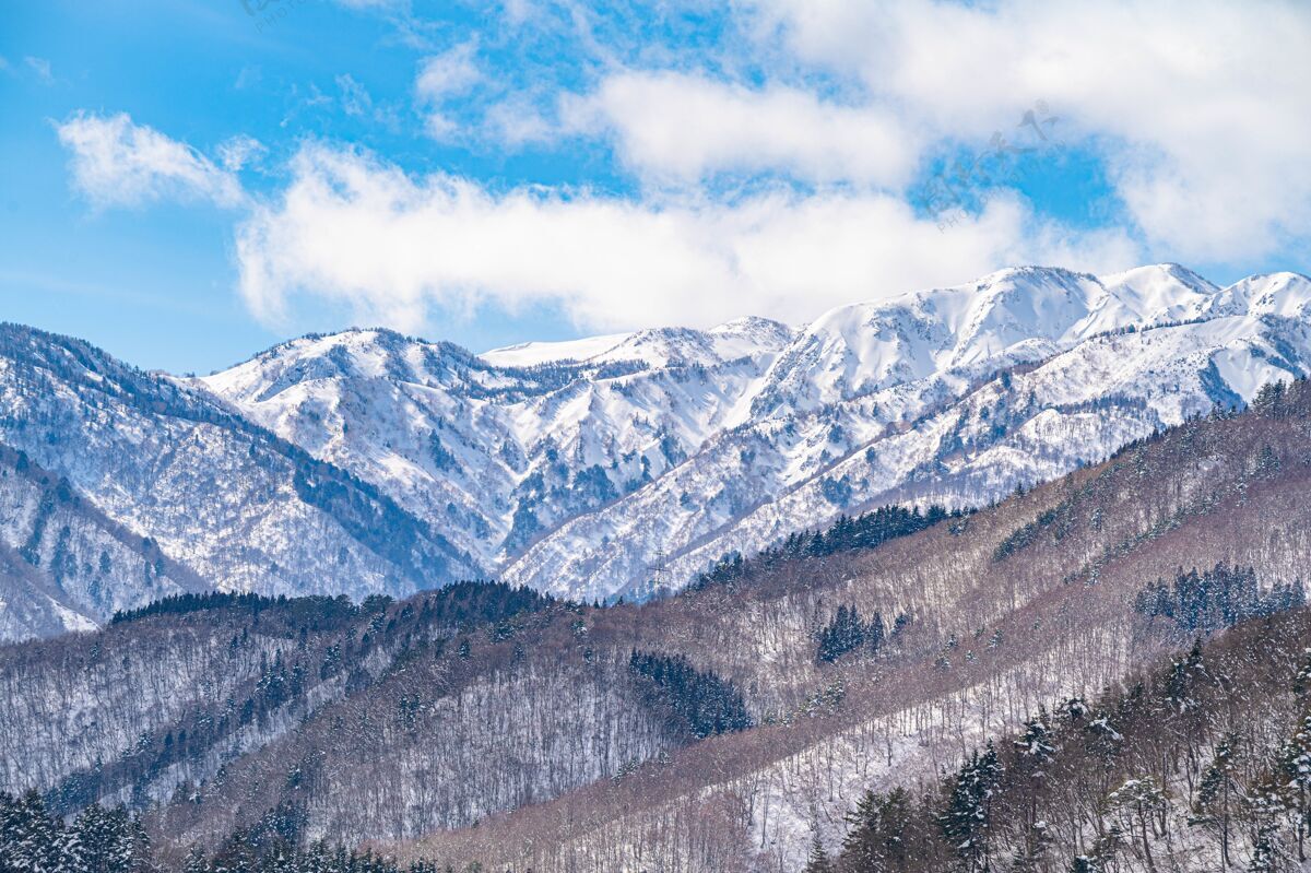 森林白雪皑皑的山和光秃秃的树的美丽全景场景清晰凉爽