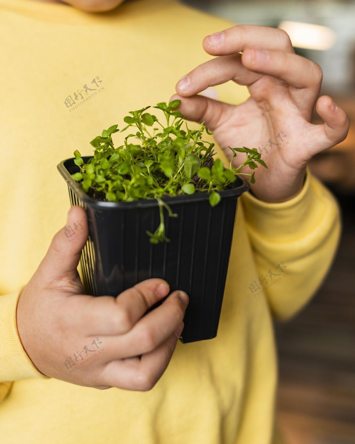 园艺小女孩带着小植物在家的正视图生物种植孩子
