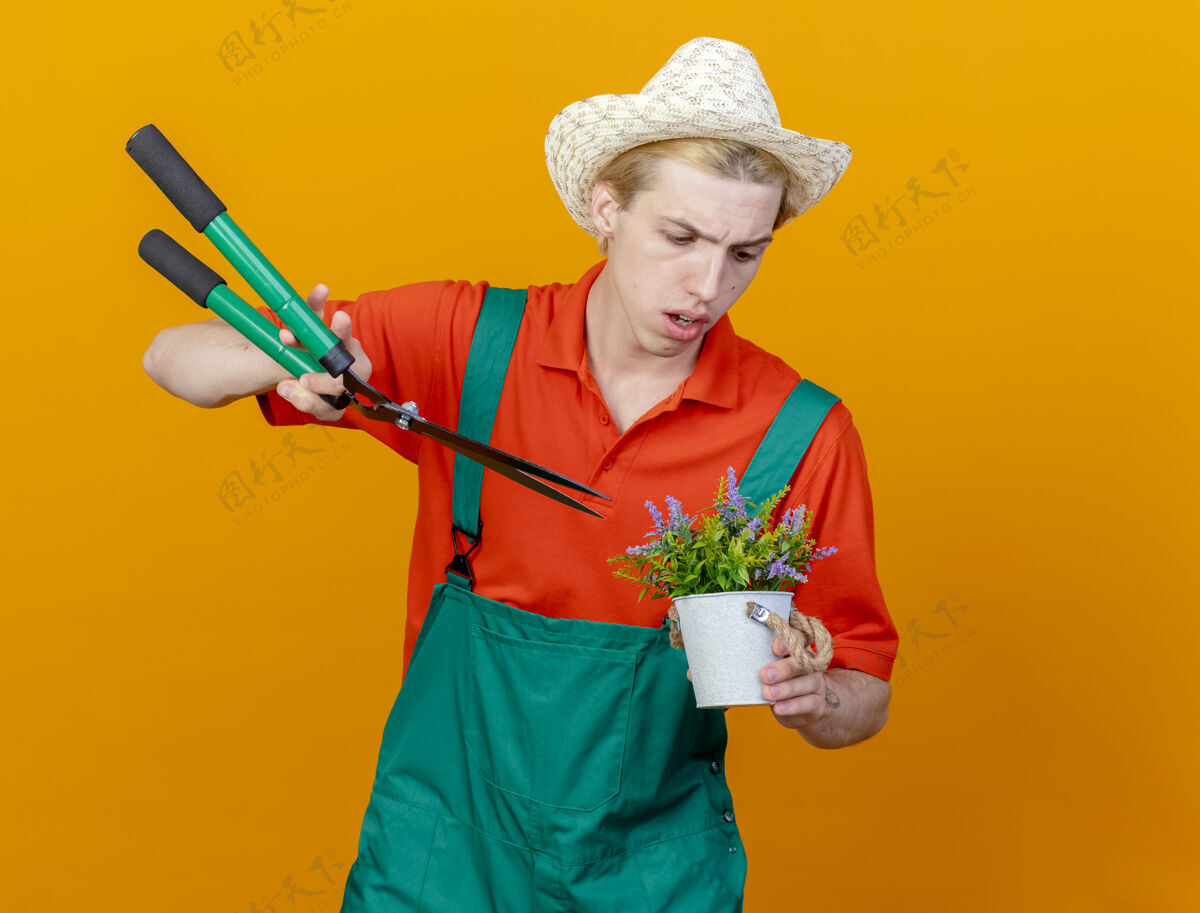 篱笆年轻的园丁 穿着连体衣 戴着帽子 拿着树篱剪和盆栽植物穿严肃的脸