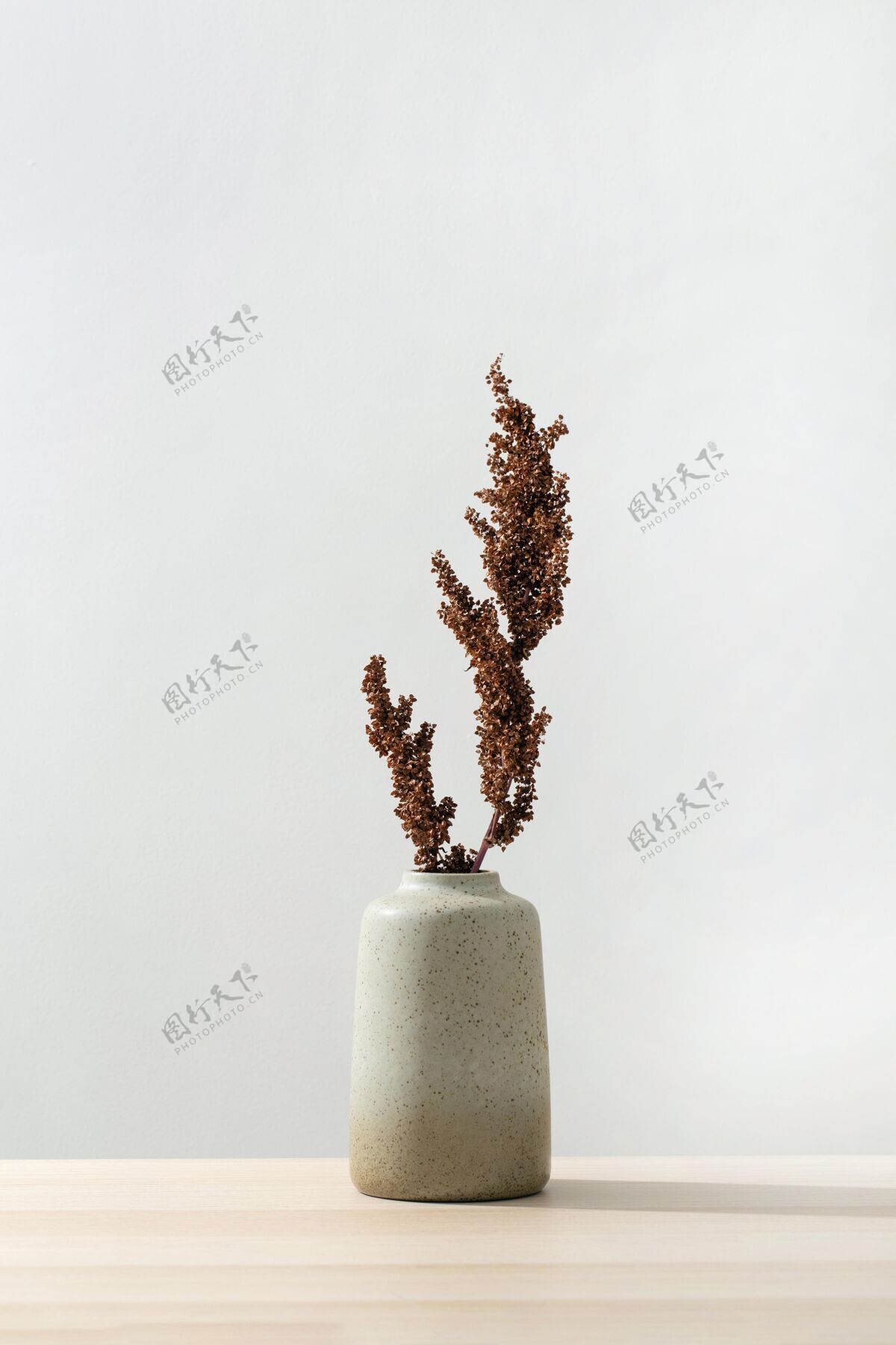 抽象带植物的花瓶正面图平原少植物