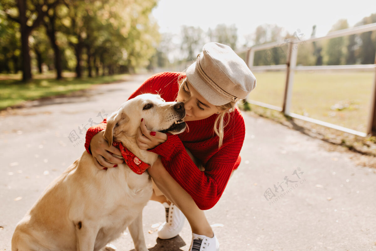 拉布拉多可爱的金发女郎在秋天公园的小路上温柔地亲吻她的狗时髦的女孩在阳光下感觉很好活跃公园可爱