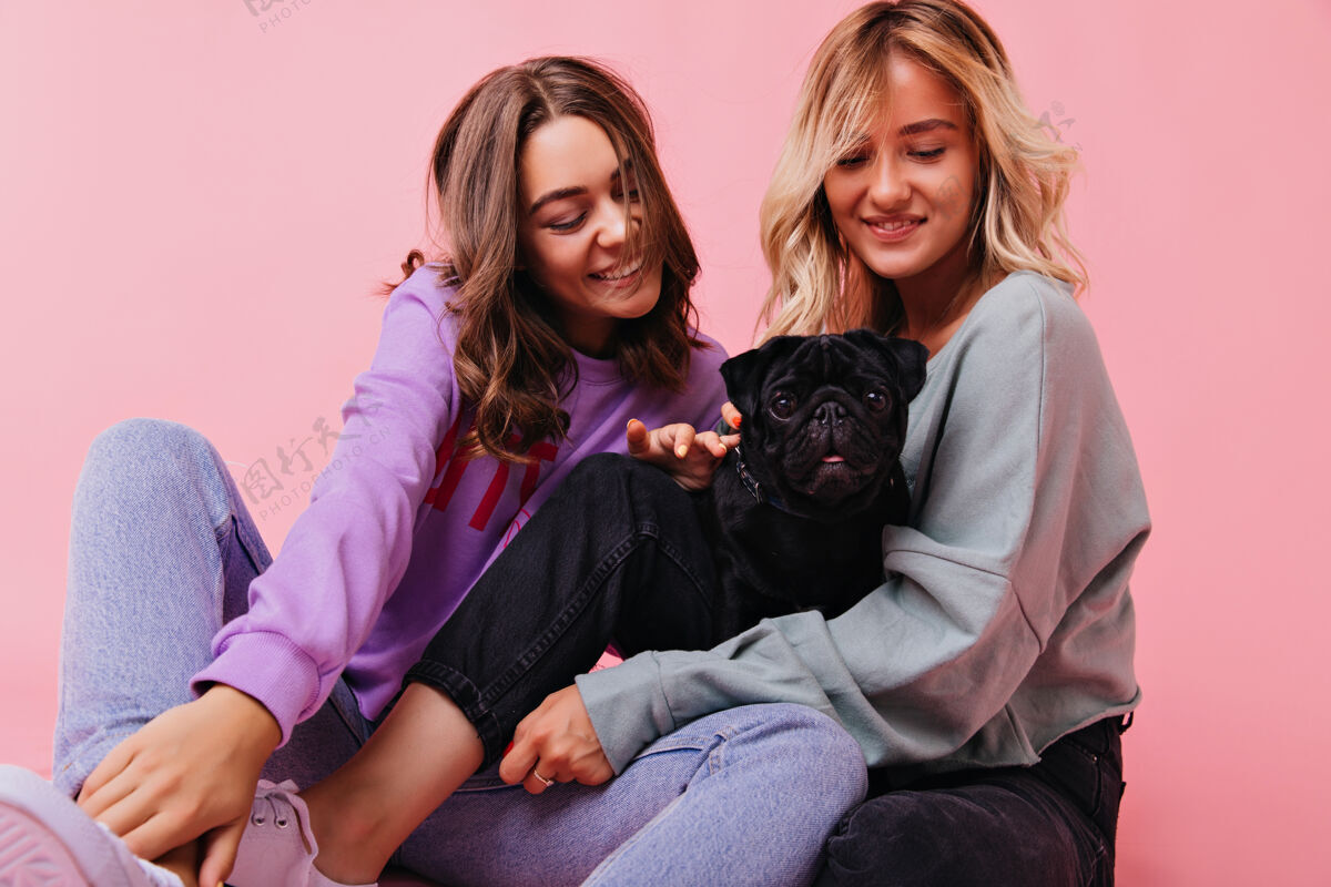 年轻迷人的女人抱着黑色的小狗 带着迷人的微笑室内拍摄可爱的姐妹们在与小斗牛犬的肖像拍摄中表达幸福斗牛犬女士可爱