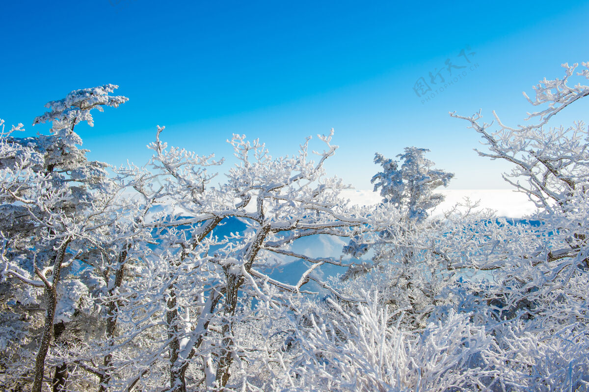 韩国韩国冬天的德古桑首尔山冰