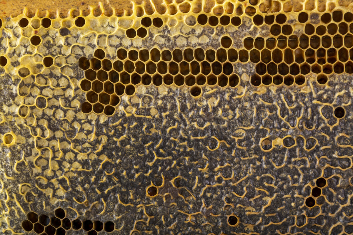 蜂蜜黄色蜂窝状纹理背景纹理蜂窝