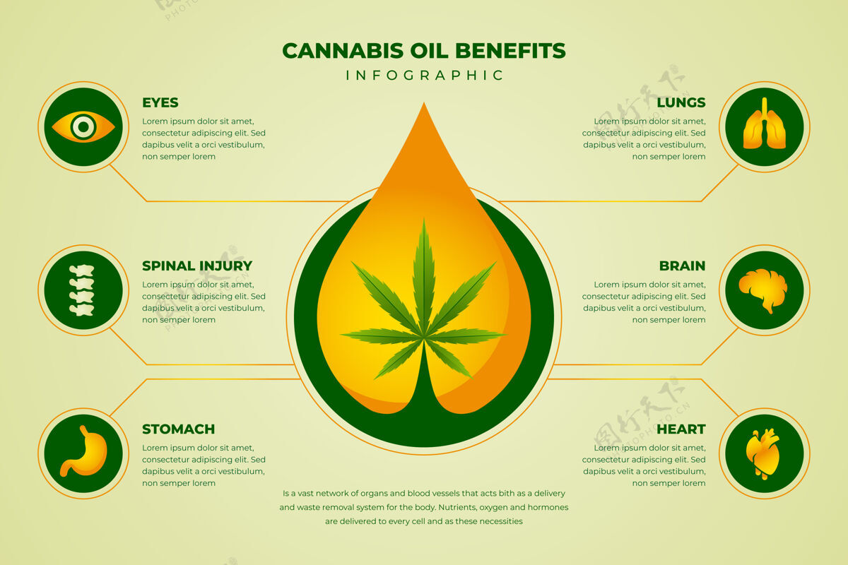 大麻大麻油的好处信息图表模板石油医疗保健医学