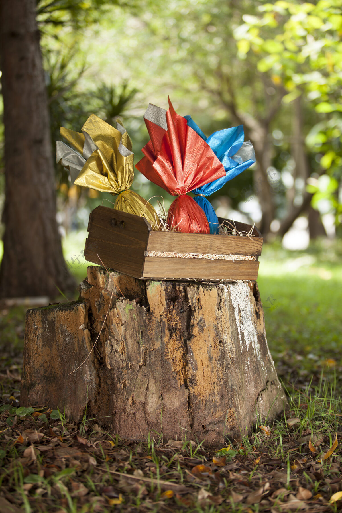 装饰一篮子巴西东方人的蛋在树林里树季节性户外
