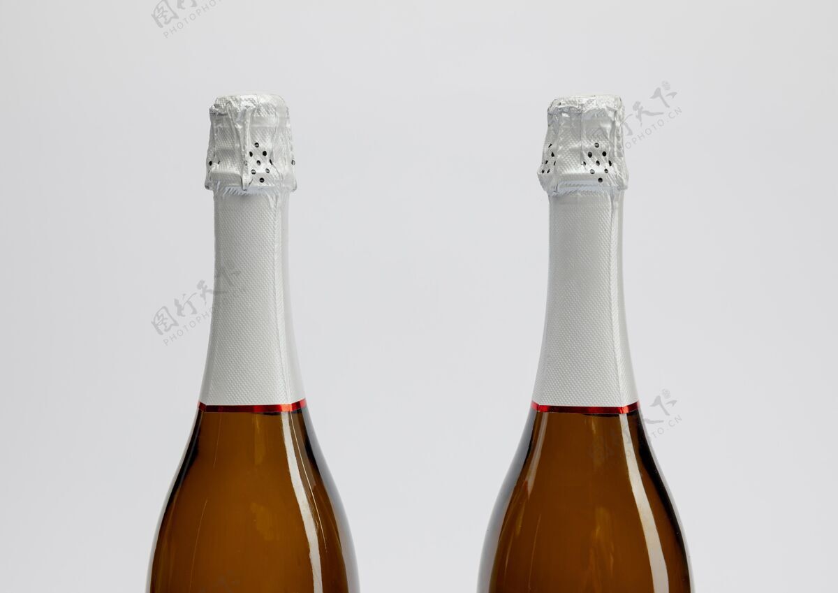 节日带模型的香槟瓶模型酒精庆祝