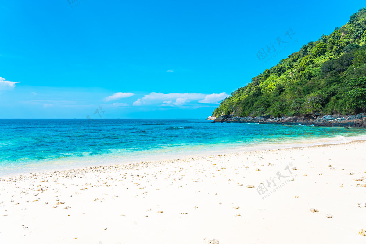 田园诗美丽的热带海滩 大海 椰子树 蓝天白云环绕树叶冲浪海湾