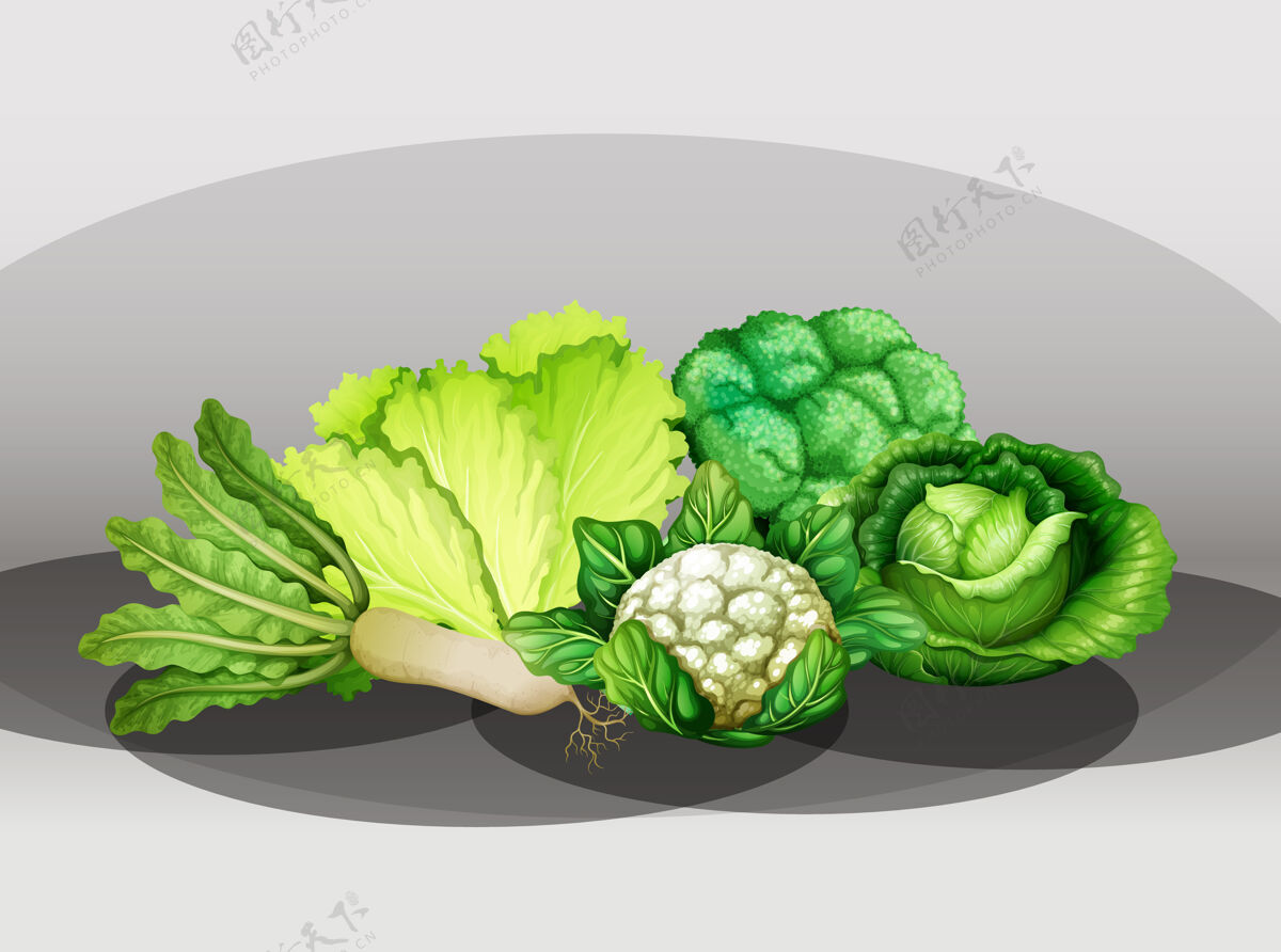 可食用一群不同的蔬菜蔬菜食品花椰菜